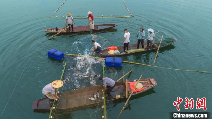 捕魚現(xiàn)場?！≈鬓k方供圖