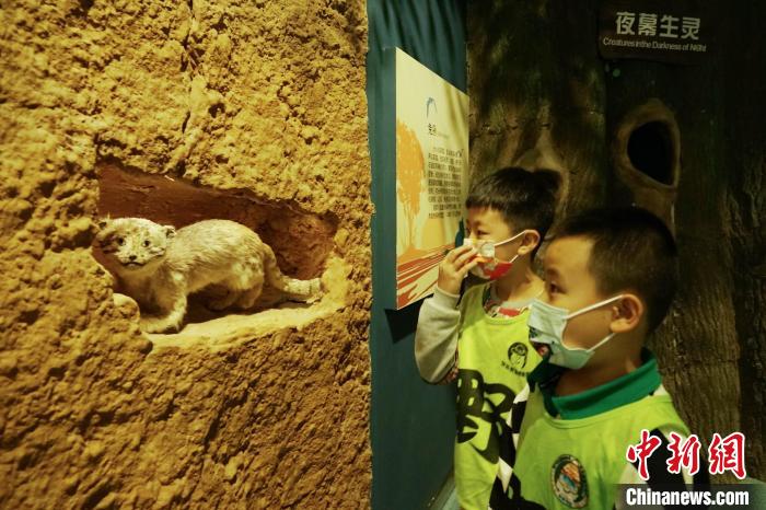 圖為小朋友在青海西寧湟水國家濕地公園科普館內(nèi)參觀學(xué)習(xí)?！●R銘言 攝
