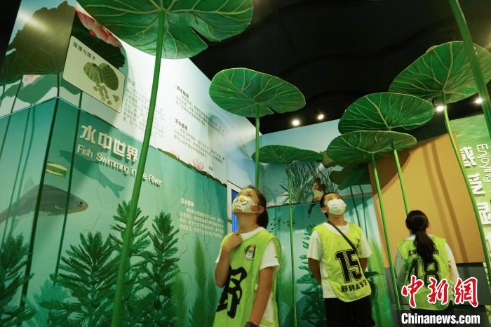 圖為小朋友在青海西寧湟水國家濕地公園科普館內(nèi)參觀學(xué)習(xí)。　馬銘言 攝