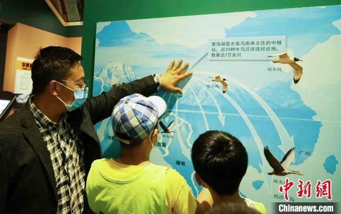 圖為小朋友在青海西寧湟水國家濕地公園科普館內(nèi)參觀學(xué)習(xí)?！●R銘言 攝