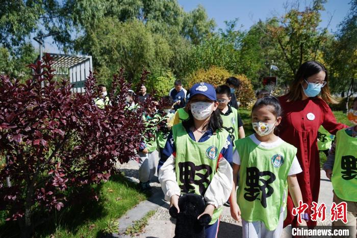 圖為小朋友在青海西寧湟水國家濕地公園內(nèi)認識植物?！●R銘言 攝