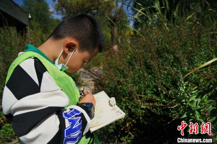 圖為小朋友在青海西寧湟水國家濕地公園內(nèi)認識植物并進行繪畫?！●R銘言 攝