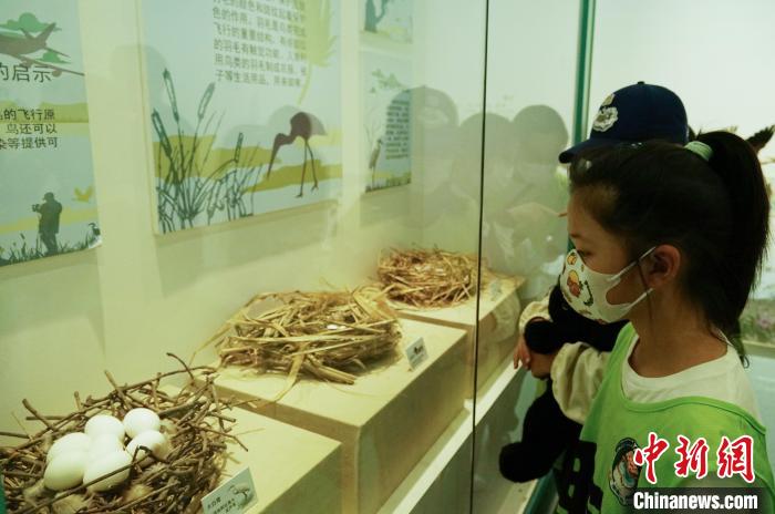 圖為小朋友在青海西寧湟水國家濕地公園科普館內(nèi)參觀學(xué)習(xí)?！●R銘言 攝