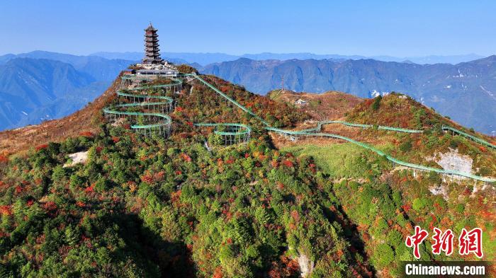 巴山大峽谷彩林迎來最佳觀賞期?！∫κ?攝