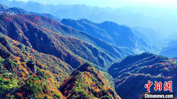 巴山大峽谷彩林迎來最佳觀賞期?！埰?攝