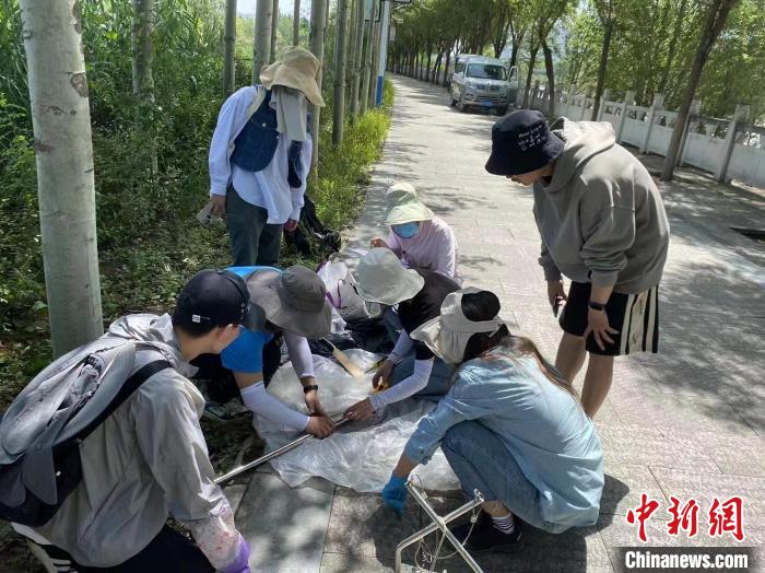 圖為科研人員正在進行監(jiān)測?！∥鲗庝宜畤覞竦毓珗@供圖