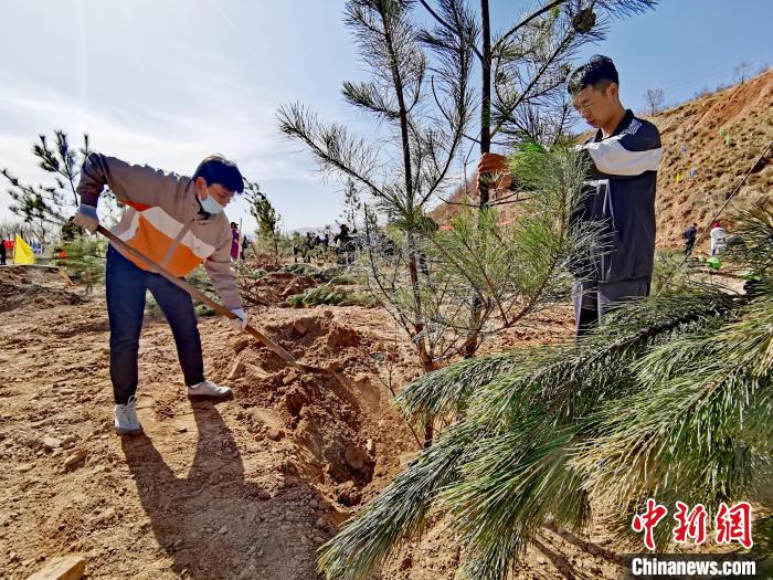 圖為西寧市城東區(qū)義務(wù)植樹活動(dòng)現(xiàn)場(chǎng)?！?zhí)砀?攝
