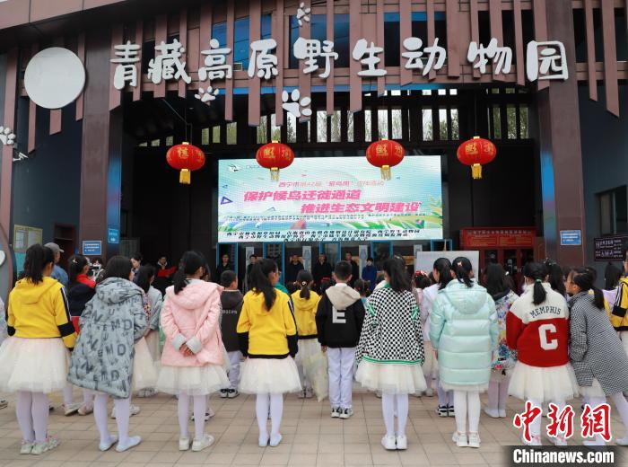 圖為青海省西寧市開展第42屆“愛鳥周”科普宣傳活動。　馬銘言 攝