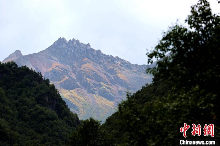 青海互助北山國(guó)家森林公園風(fēng)景如畫美不勝收