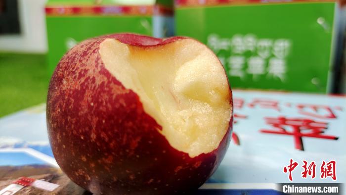 圖為通麥村特色甜心蘋果?！∝暽＠?攝