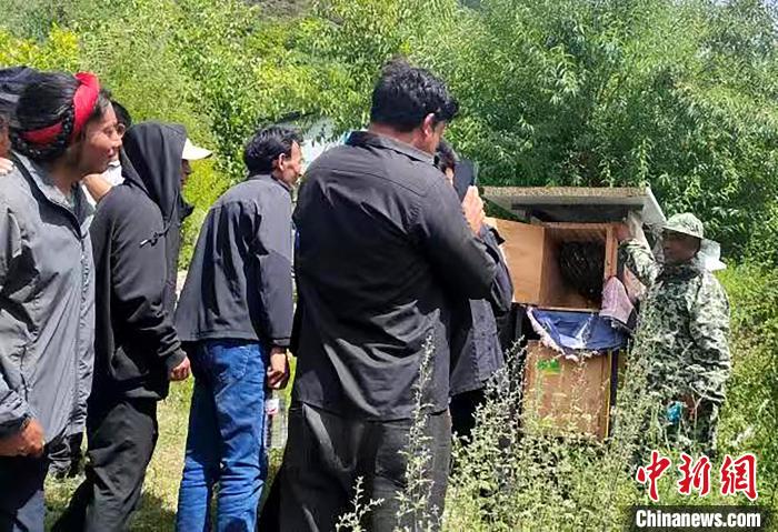 拉久西村村民學習養(yǎng)蜂工作流程和防范事項?！〔际忻⒖悼h委宣傳部供圖