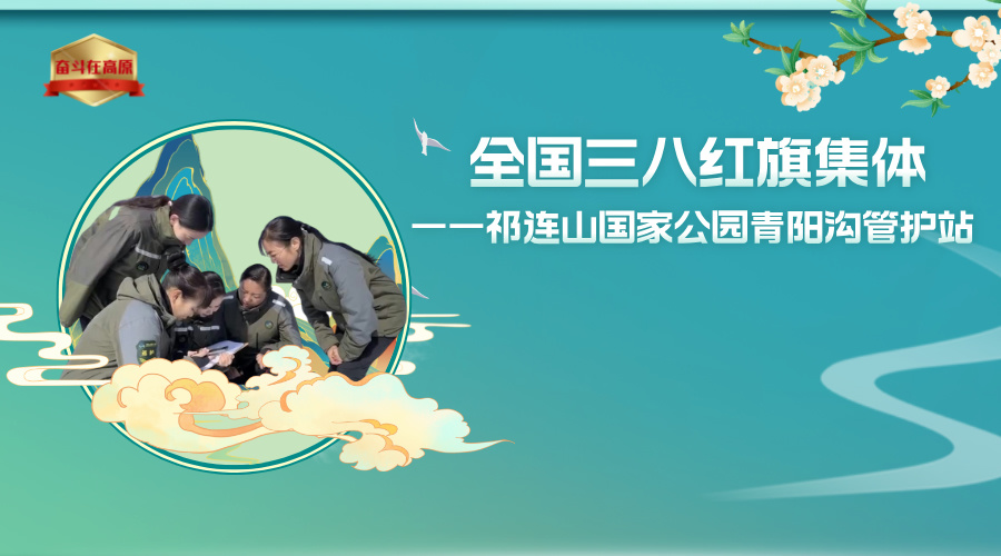 雨水24節(jié)氣圖文風(fēng)橫版海報(bào)__2025-04-16+16_49_42.jpg