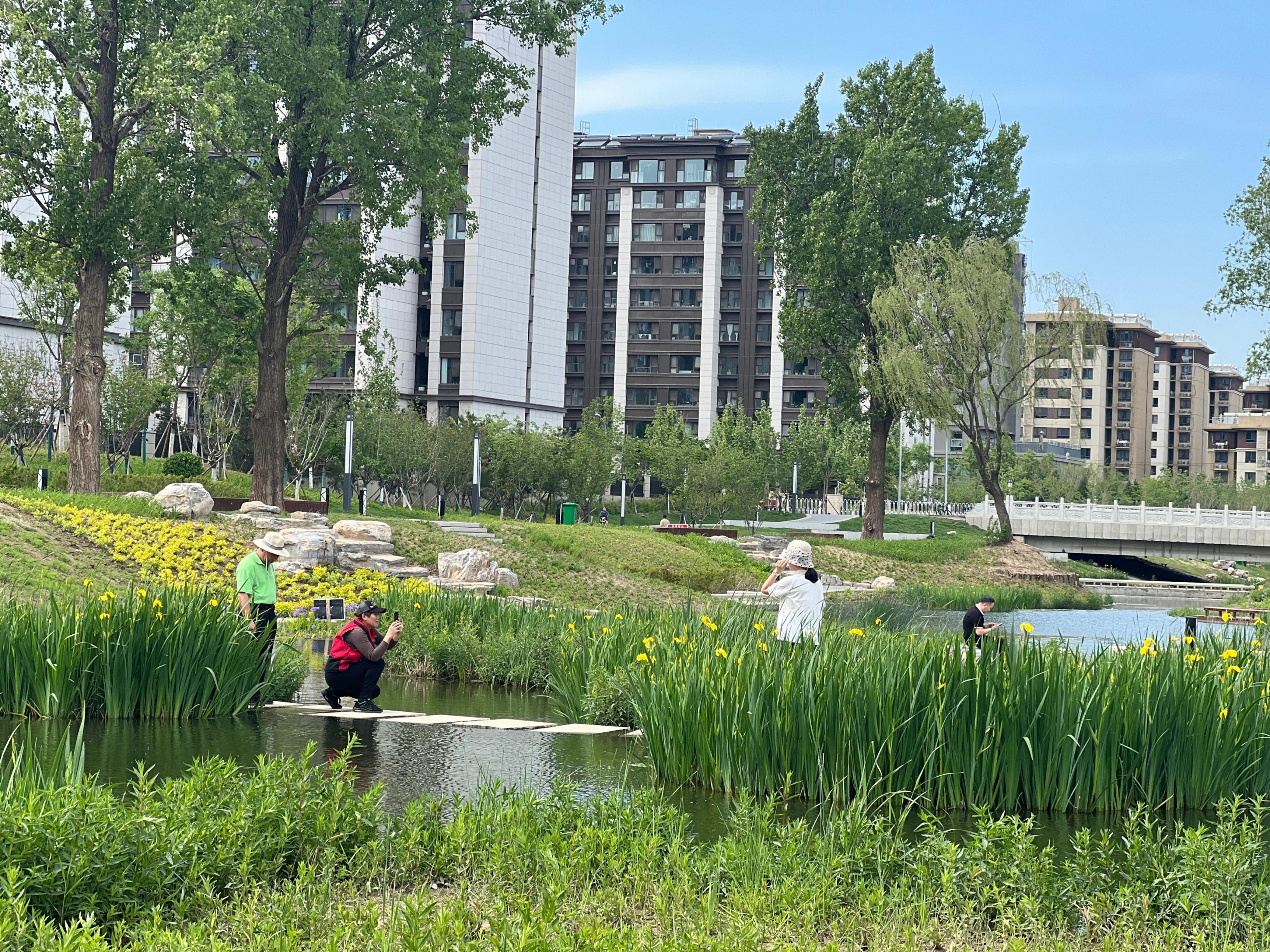 五一渠生態(tài)濱河公園內(nèi)，市民正在拍照留念。人民網(wǎng) 歐陽易佳攝