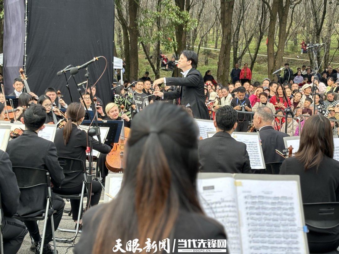 貴陽路邊音樂會·貴安櫻花園專場交響樂現(xiàn)場。丁亞 文丹 攝