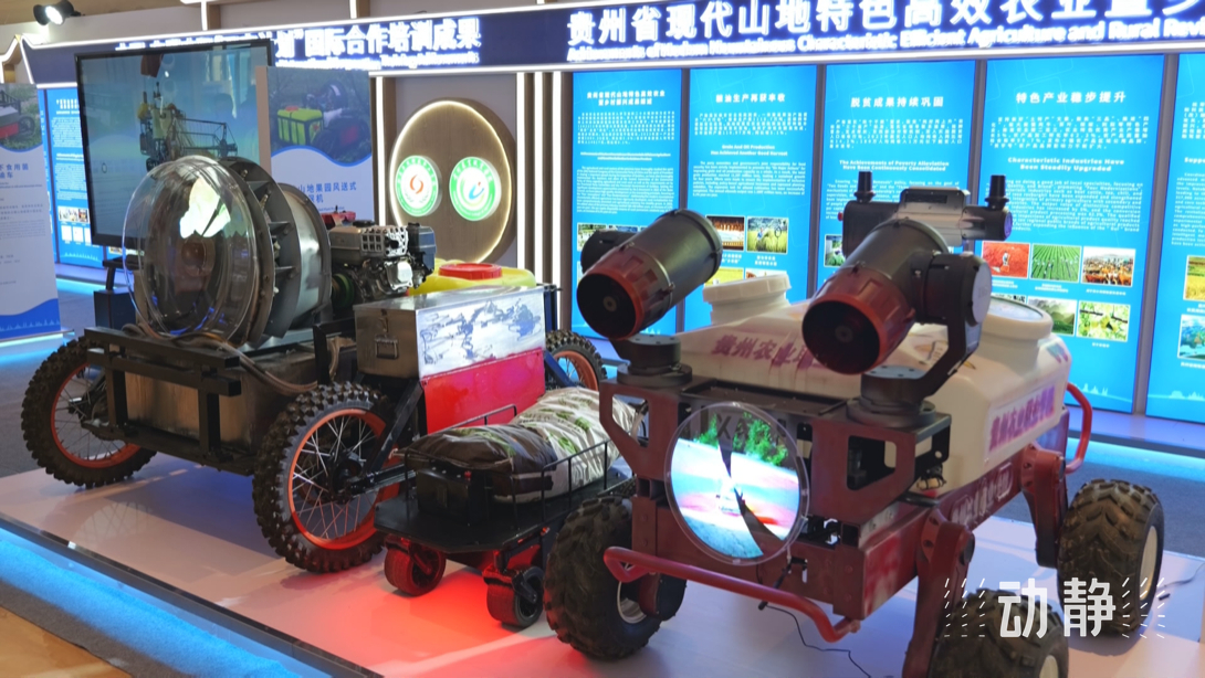 展示成果分享經(jīng)驗，中國—東盟教育交流周深化合作共創(chuàng)未來！