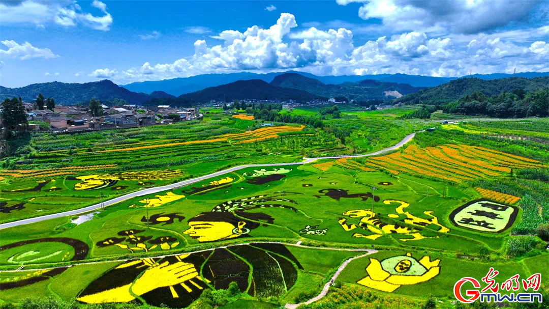 云南清水：延伸公共法律服務(wù)觸角，讓普法與民族團(tuán)結(jié)進(jìn)步互促共融