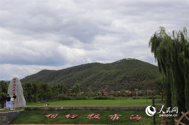麗江市拉市海景區(qū)。 人民網(wǎng)記者 程浩攝