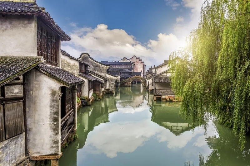 烏鎮(zhèn)動(dòng)觀察｜這個(gè)字，牽起國(guó)際交流互鑒之紐帶