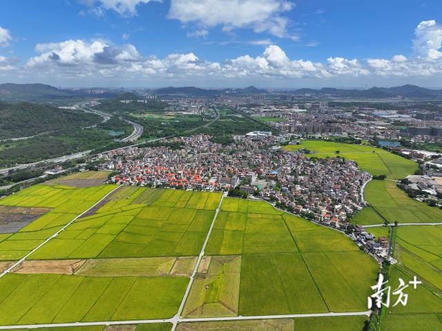 崖口村。