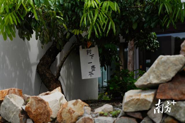 崖口村內的文藝民宿。