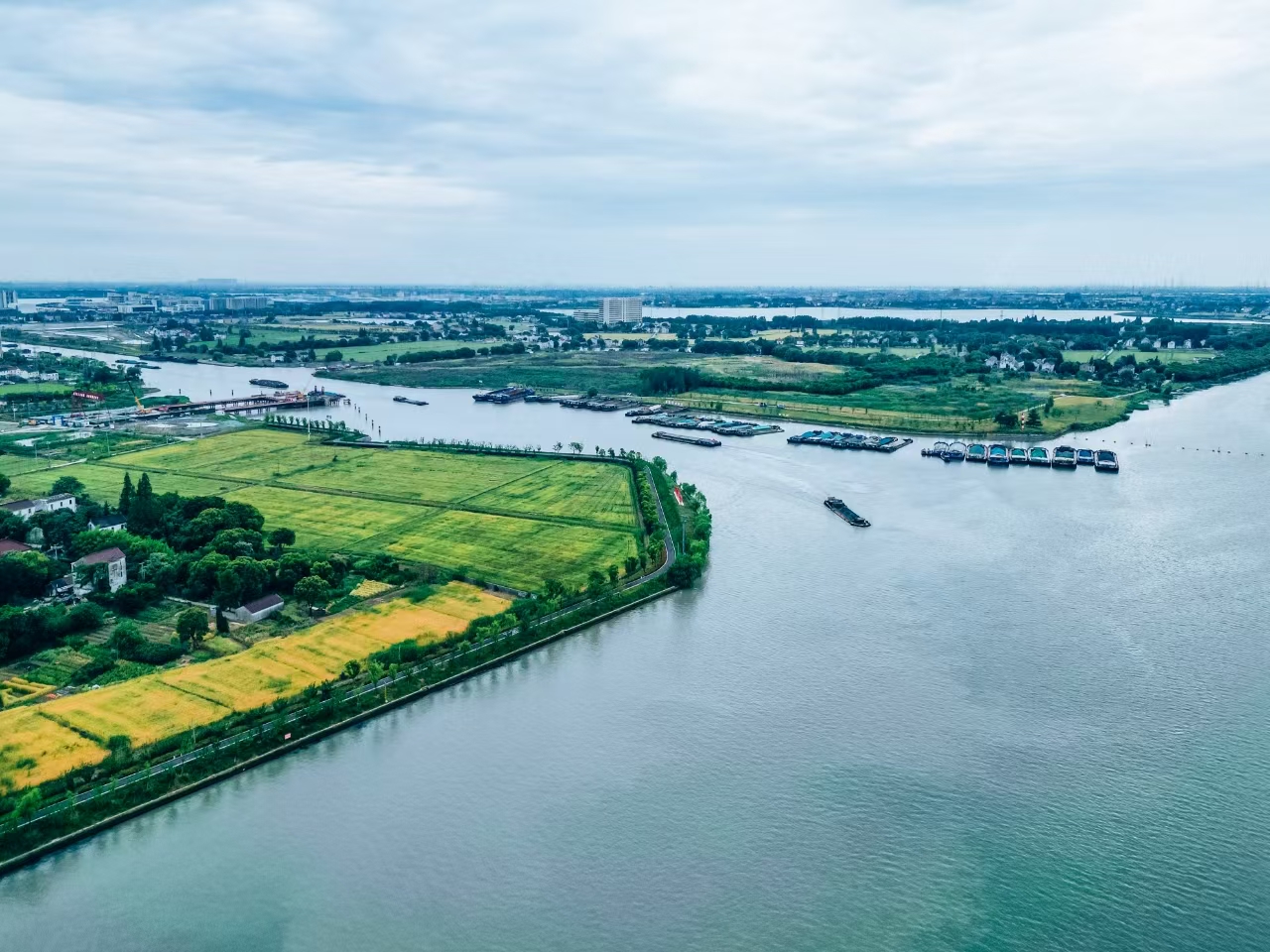 太浦河沿岸好風光。吳橫軒攝