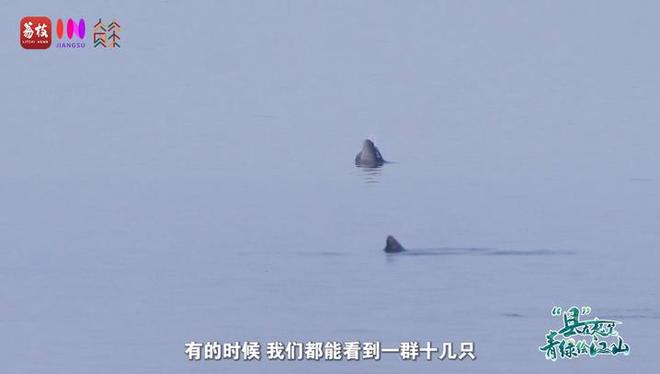 “縣”在起筆 青綠繪江山 | 江灣沐曉：褪去“銹色”走“金線”，繡出生態(tài)與產(chǎn)業(yè)“雙面錦”