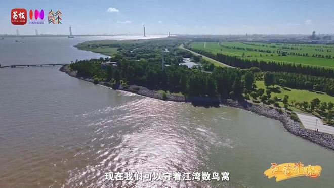 “縣”在起筆 青綠繪江山 | 江灣沐曉：褪去“銹色”走“金線”，繡出生態(tài)與產(chǎn)業(yè)“雙面錦”