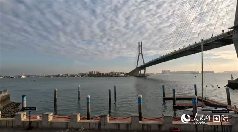 海南省儋州市洋浦大橋。人民網(wǎng) 薩拉·阿芙澤爾攝