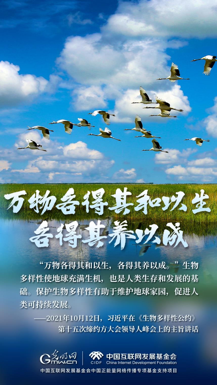 “兩山”理念與美麗中國丨濕地與候鳥，一場歲歲年年的相守