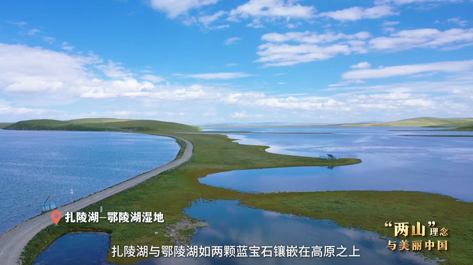 “兩山”理念與美麗中國丨濕地與候鳥，一場歲歲年年的相守