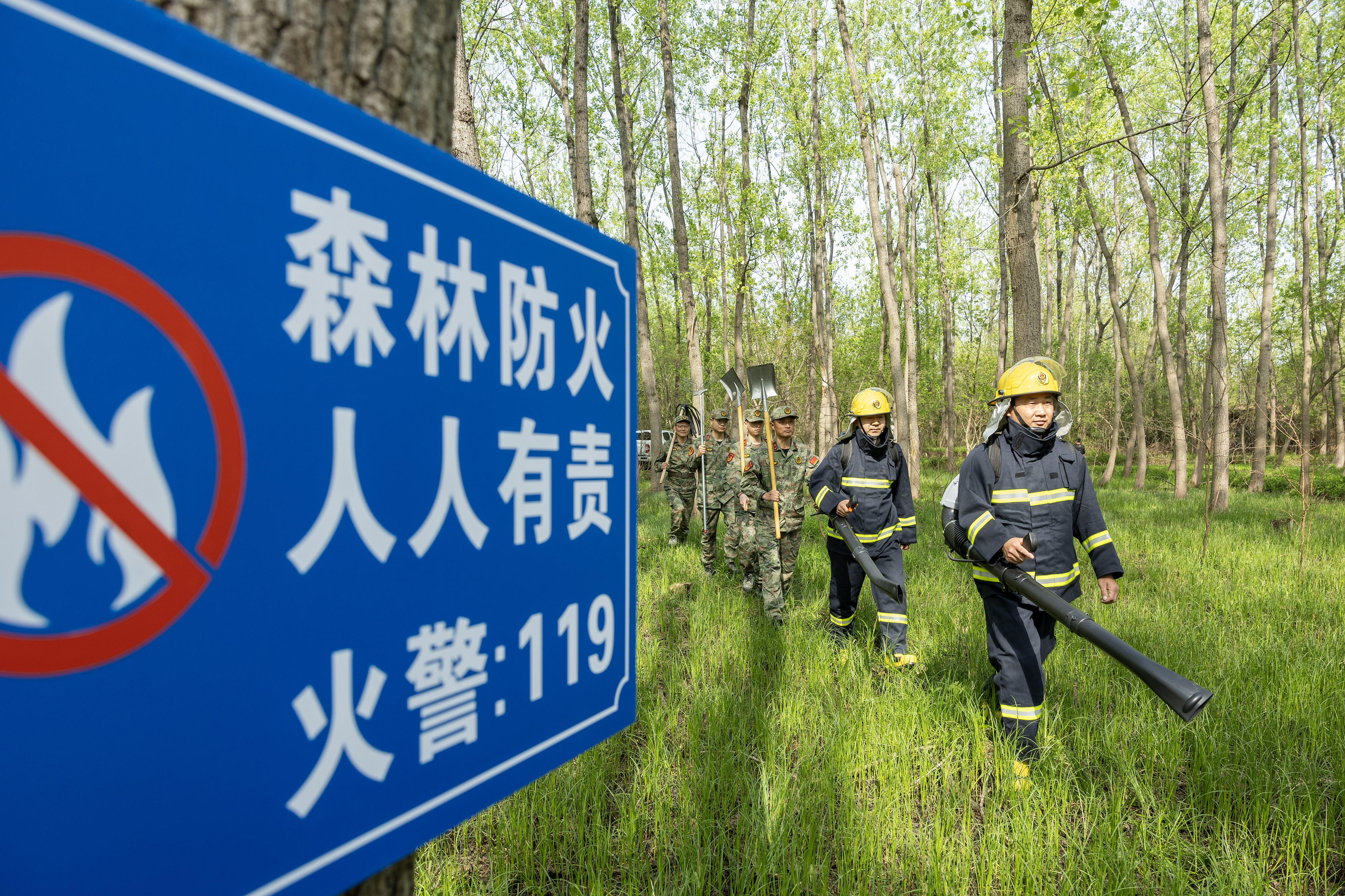 2024年4月9日，合肥市大房郢水庫水源保護地廬陽經(jīng)濟開發(fā)區(qū)段，基干民兵正在林間巡查火災隱患。