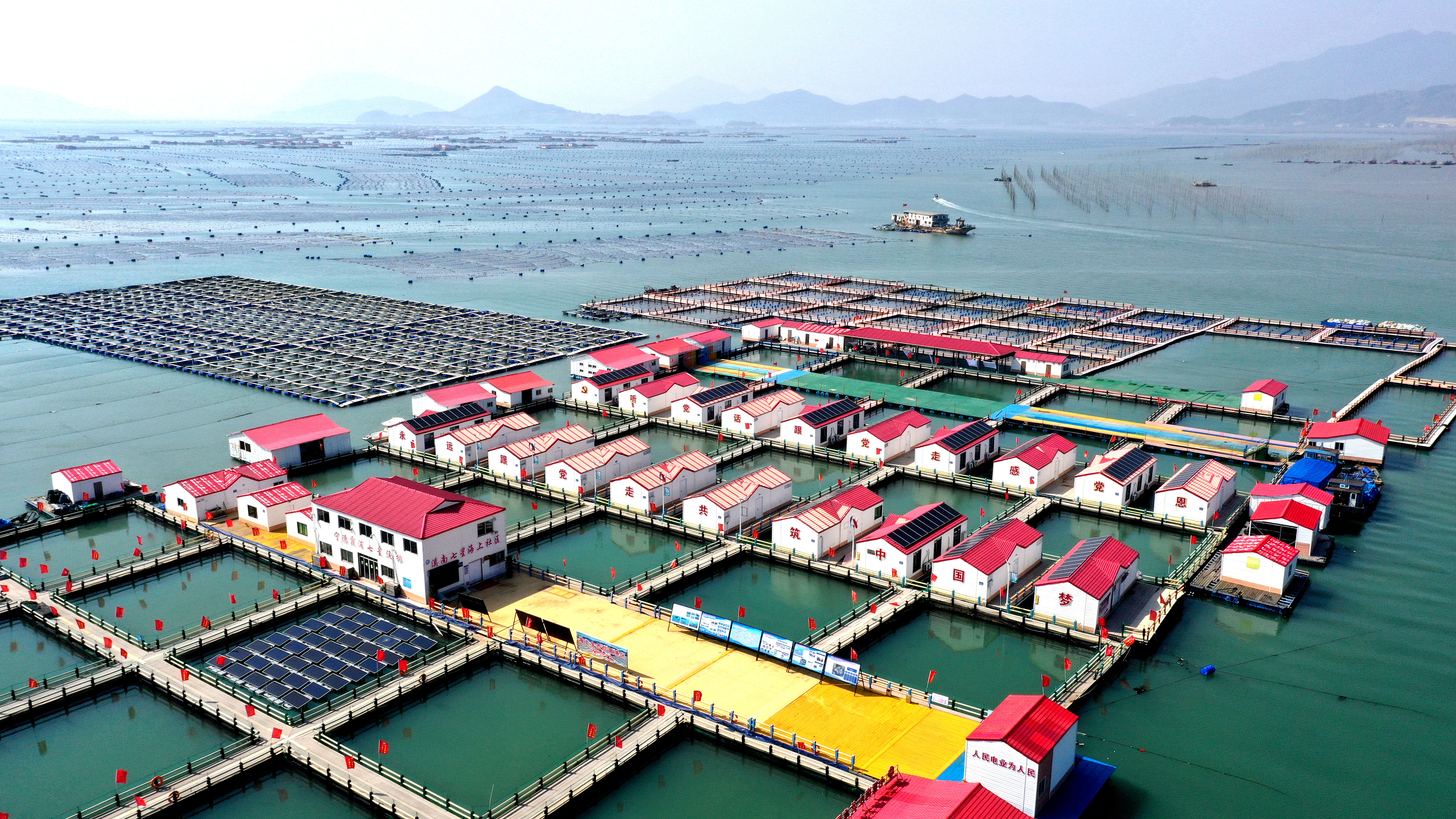 2024年3月20日，福建省寧德市，霞浦縣溪南鎮(zhèn)七星村漁排養(yǎng)殖示范區(qū)，漁民駕駛養(yǎng)殖船進行海參養(yǎng)殖作業(yè)。