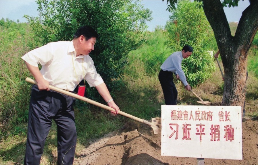 2001年10月，習近平在龍巖市長汀縣調(diào)研水土流失治理工作，在河田世紀生態(tài)園為樹培土。圖源：《習近平在福建（下）》