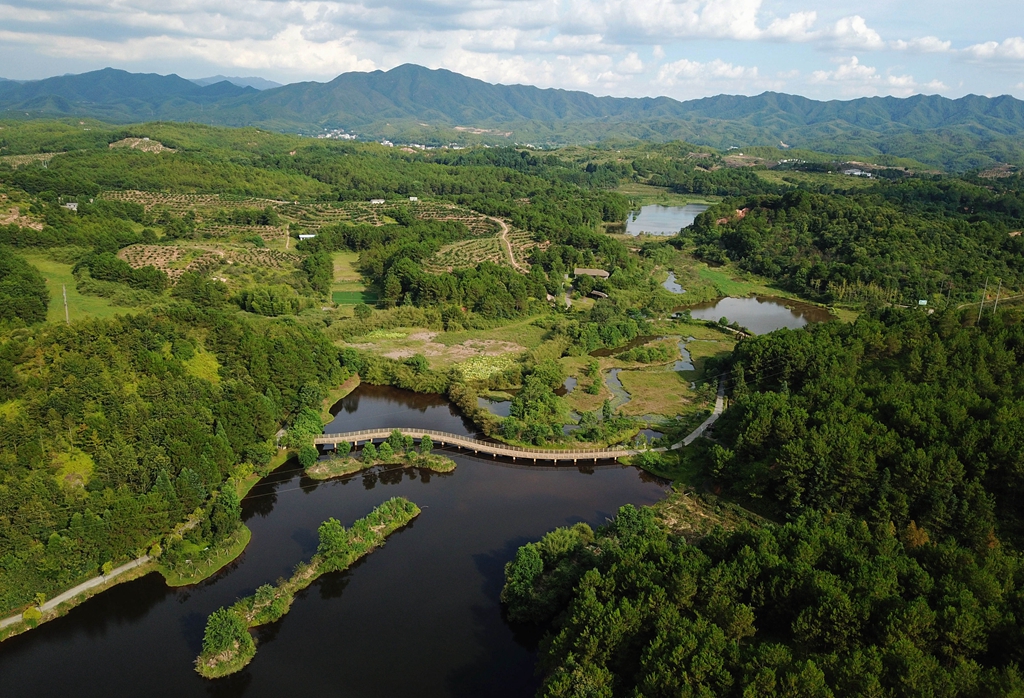 福建省龍巖市長汀縣的長汀汀江國家濕地公園景色（2020年7月28日攝，無人機照片）。新華社記者 魏培全 攝