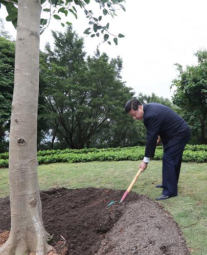 2012年12月7日至11日，習(xí)近平在廣東省考察工作。這是8日上午，習(xí)近平在深圳蓮花山公園種下一棵高山榕樹。新華社記者 蘭紅光 攝