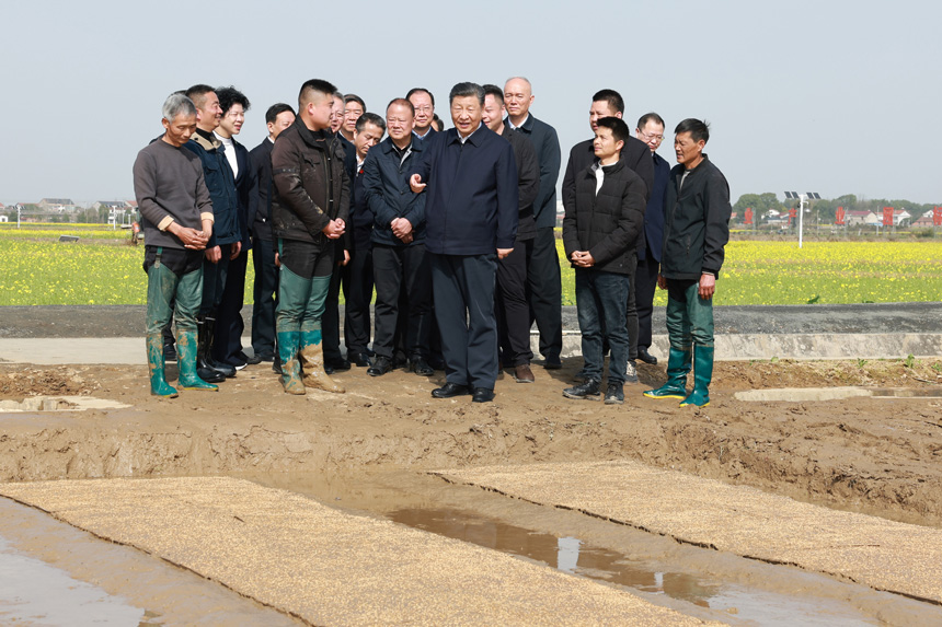 2024年3月18日至21日，中共中央總書記、國家主席、中央軍委主席習(xí)近平在湖南考察。這是19日下午，習(xí)近平在常德市鼎城區(qū)謝家鋪鎮(zhèn)港中坪村走進(jìn)田間，察看秧苗培育和春耕備耕進(jìn)展。新華社記者 王曄 攝