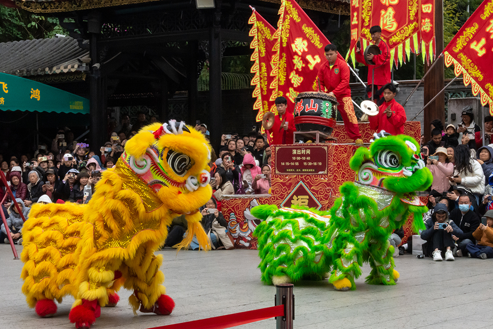 圖為廣東省佛山市祖廟的醒獅表演。
