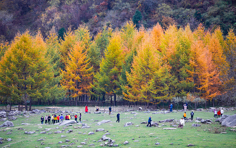 2023年10月27日，深秋時(shí)節(jié)的陜西秦嶺太子嶺漫山紅黃、色彩交織，進(jìn)入最佳觀賞期。