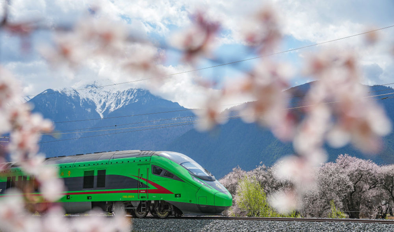 2025年4月2日，復(fù)興號列車穿行在拉林鐵路林芝段。