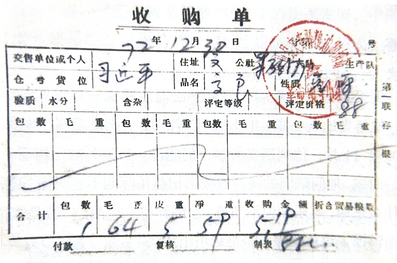 1972年12月30日，習(xí)近平交售了59斤公糧的收購單。