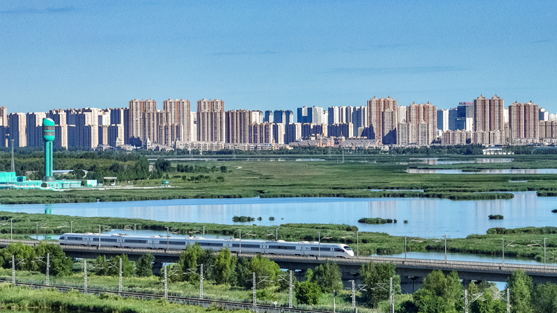 2025年8月17日，一列動車組列車駛過大慶東站。