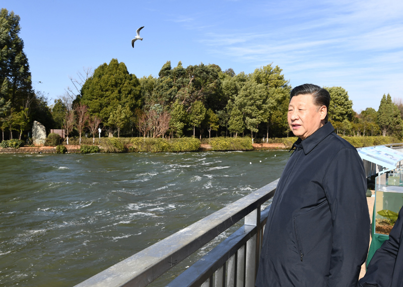 2020年1月20日下午，習(xí)近平總書記在云南昆明滇池星海半島生態(tài)濕地考察調(diào)研。