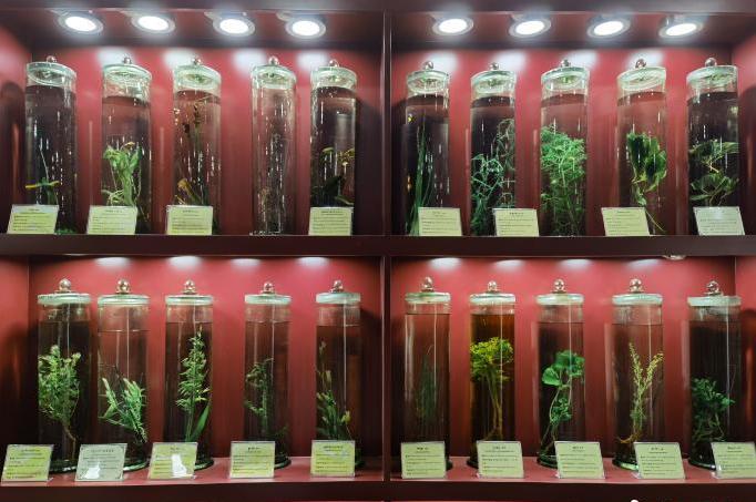 圖為藏藥藥材標(biāo)本。??張海? ?.jpg