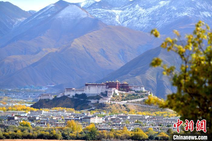 10月24日，雪山、布達(dá)拉宮和秋色組成“風(fēng)景畫”。　江飛波 攝