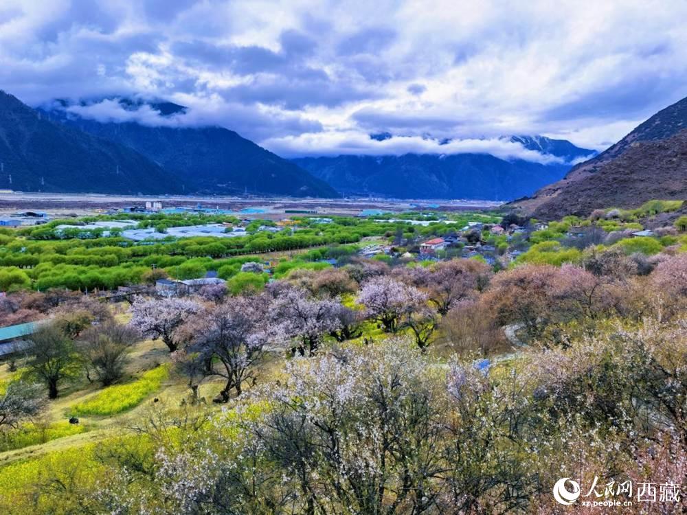 桃花從中的“童話小鎮(zhèn)”。人民網(wǎng) 李海霞攝