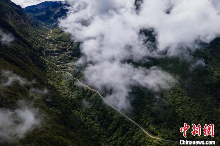 西藏山南勒布溝景區(qū)的盤山公路被云霧環(huán)繞?！〗w波 攝