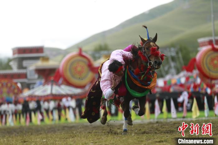 青海玉樹：70年，幸福生活如格桑花綻放