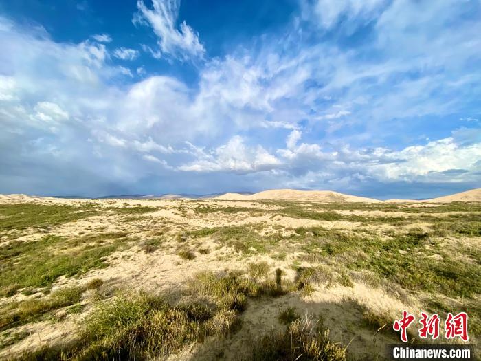 圖為關(guān)停四年后的沙島景區(qū)現(xiàn)狀。　李江寧 攝