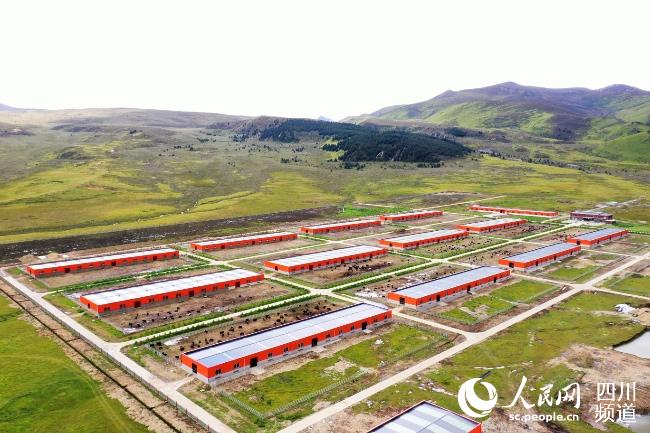 建設(shè)中的理塘縣牦牛產(chǎn)業(yè)園。葉強(qiáng)平攝