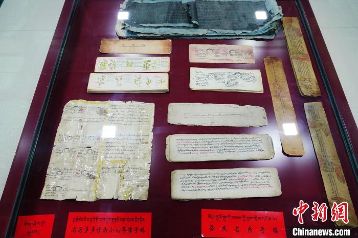 圖為藏醫(yī)古集文獻(xiàn)和藏醫(yī)臨床原始手稿。　馬銘言 攝